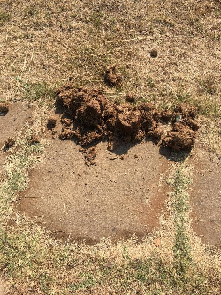 Historic Locomotives