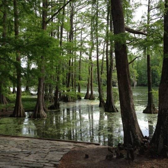 Scenic Walking & Biking Trails