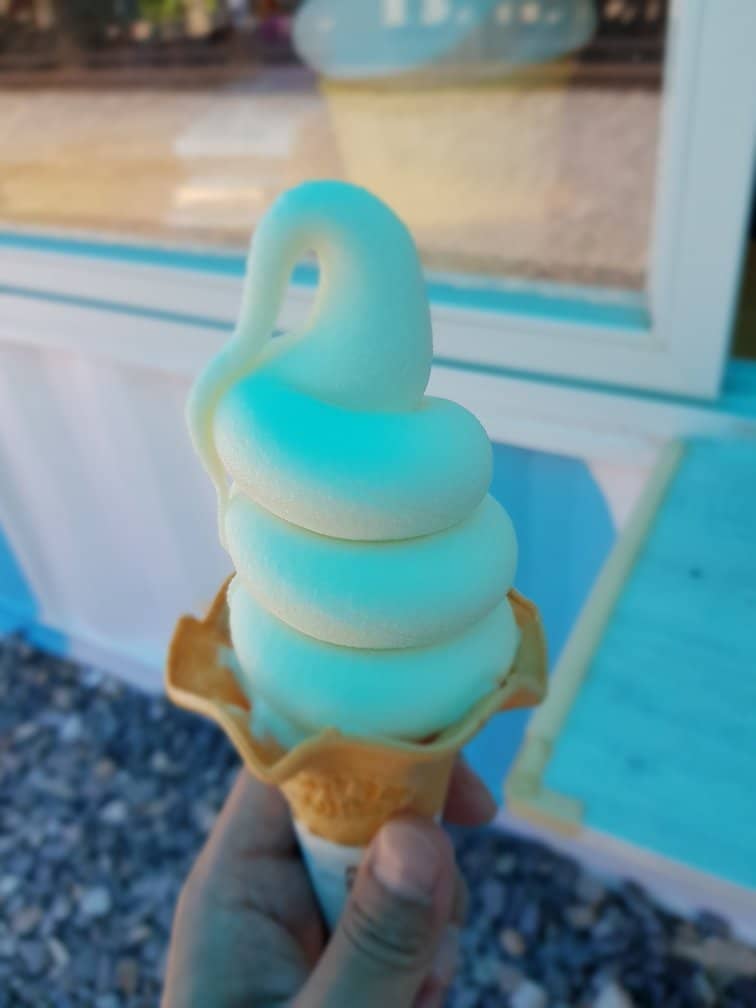 Sheep Feeding & Herding Show