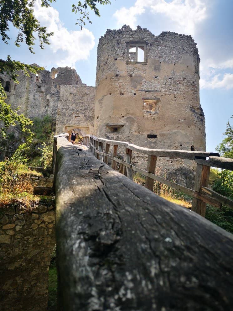 Forest Hiking Trails