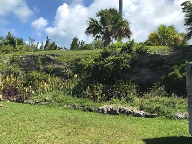 Tranquil Park Picnics