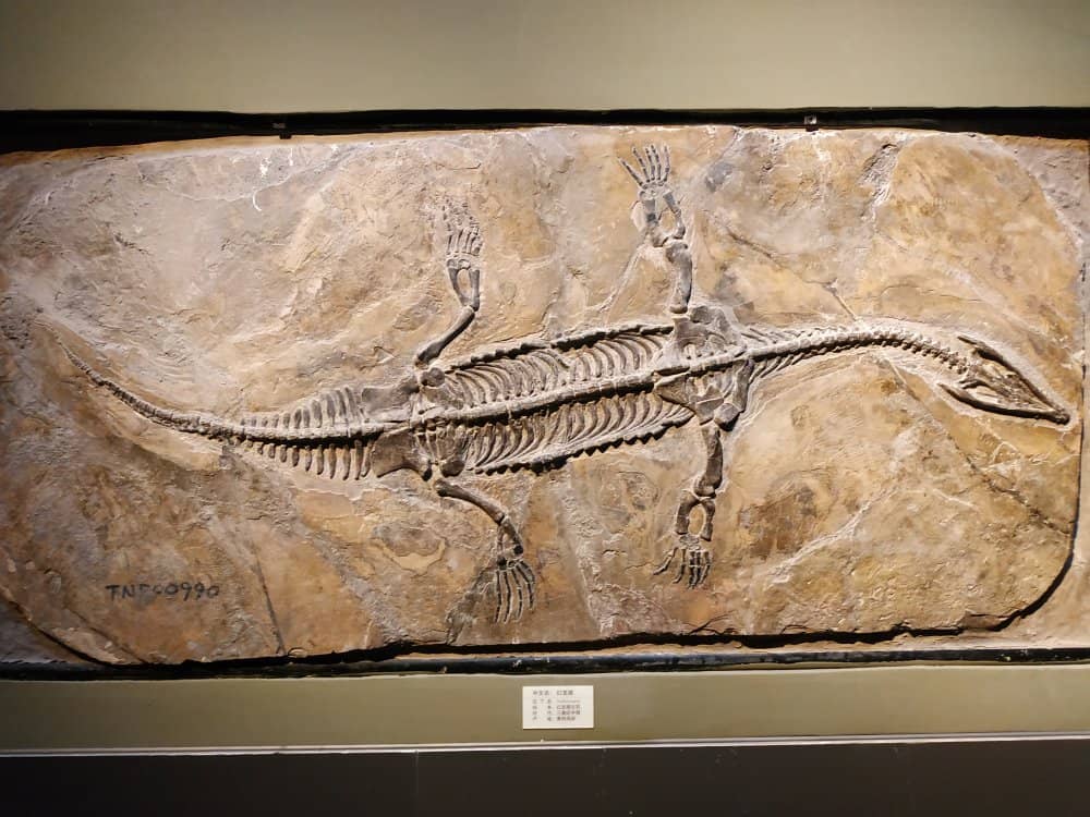 Historic Hoangho Paiho Museum