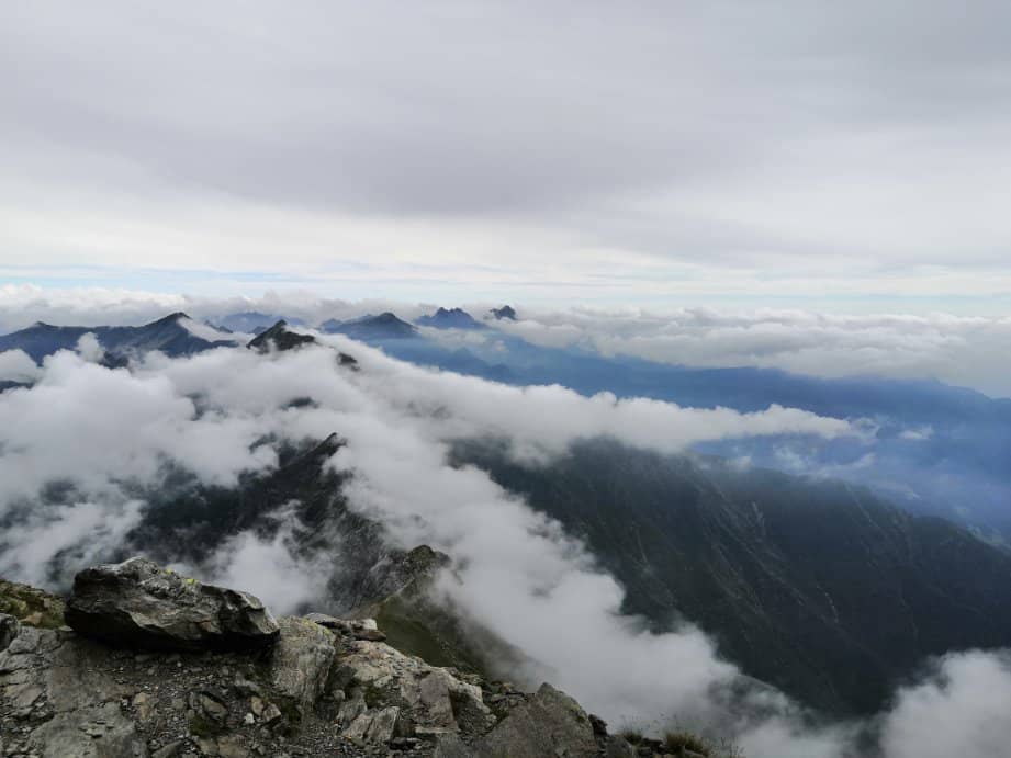 Alpine Ibex Sightings