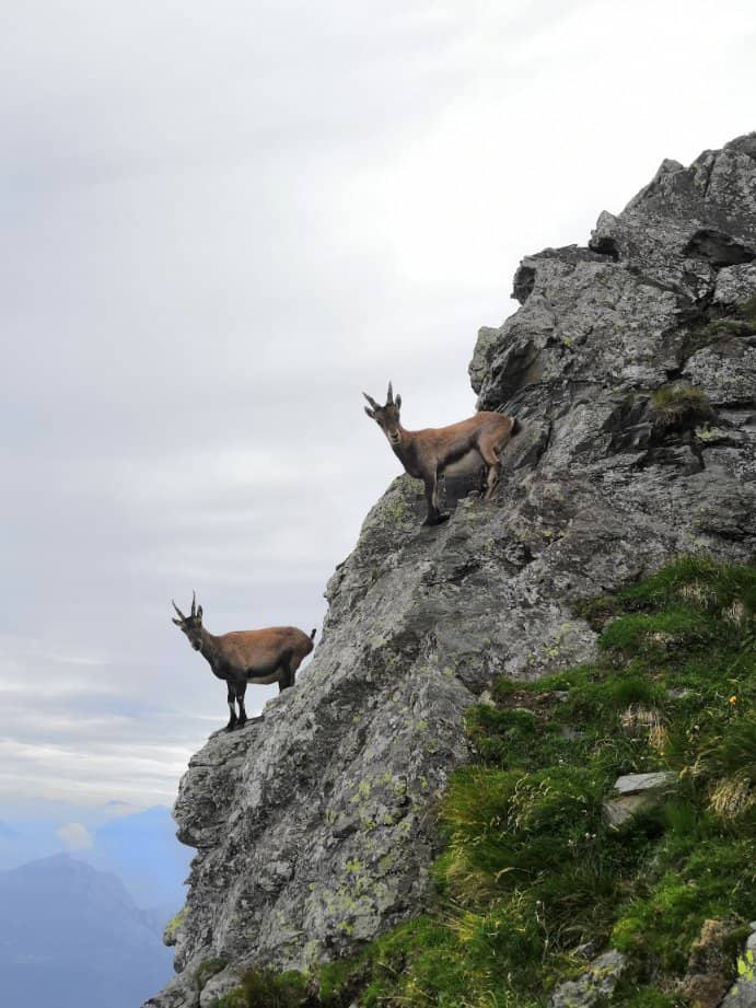 Rifugio Roccoli Lorla