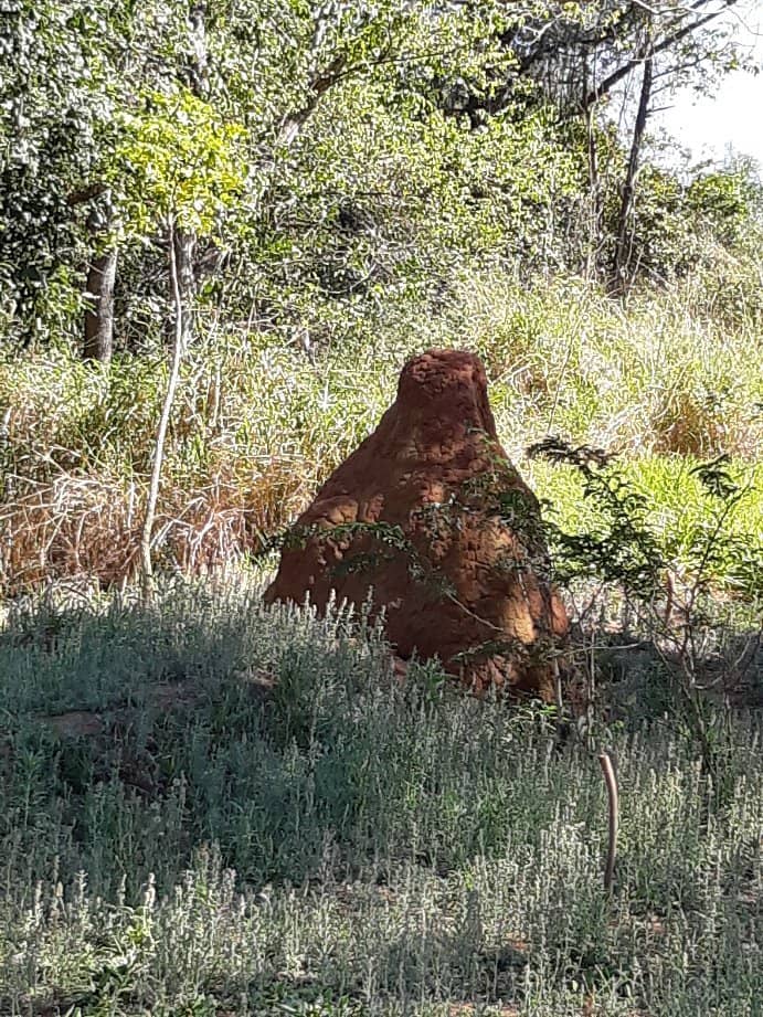 Well-Marked Hiking Trails