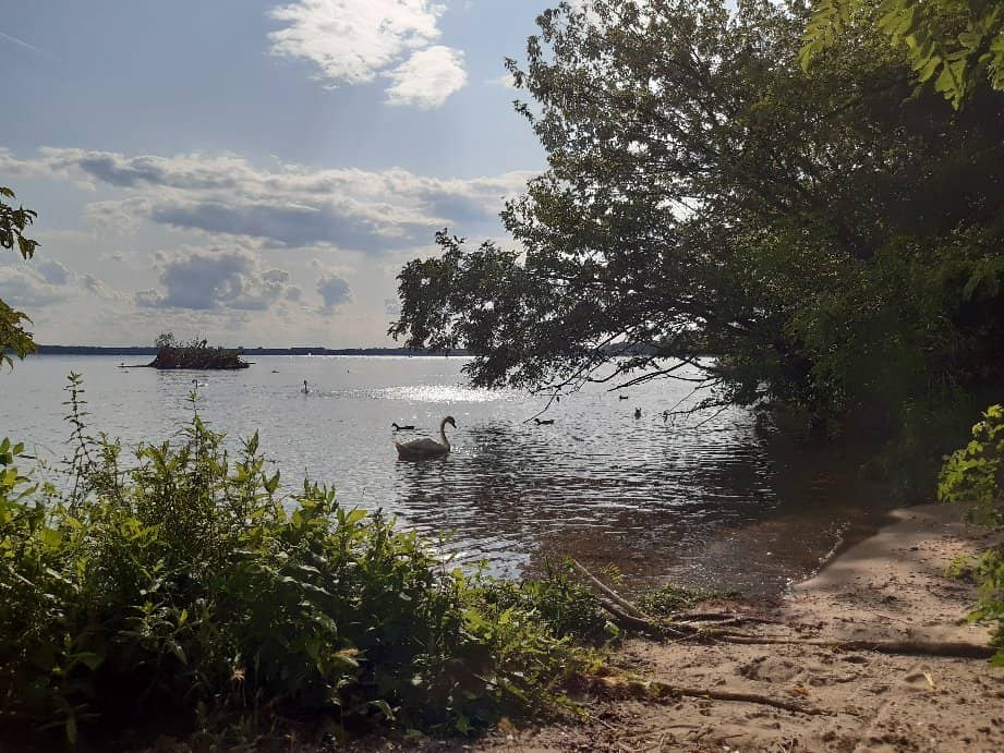 Boat Tours on the Lake