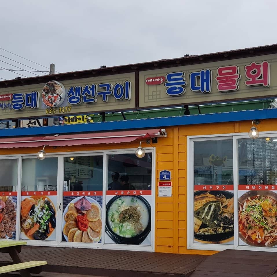 Manual Drag Boat Ride