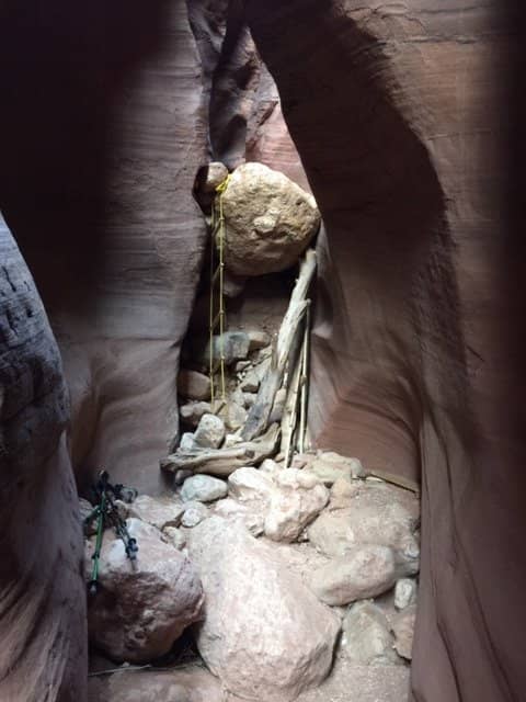 Vertical photo