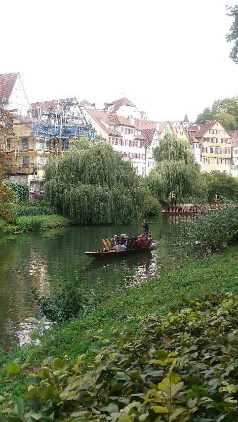 Platanenallee Nature Walks