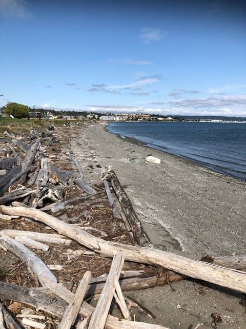 The Landmark Windmill