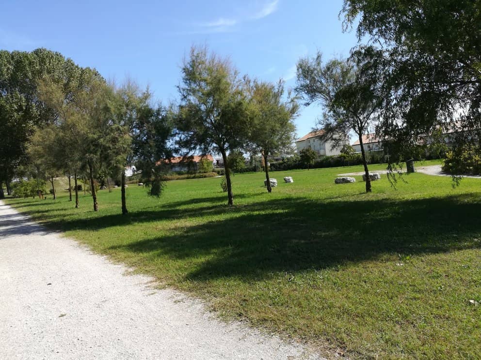 Sports Expos & Activities