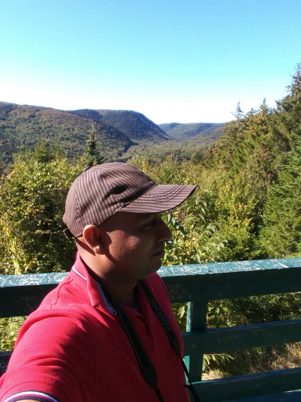 Panoramic Lookout Views