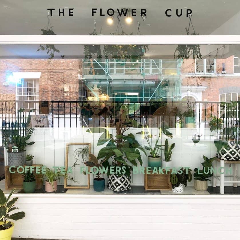 Vibrant Brunch Dishes