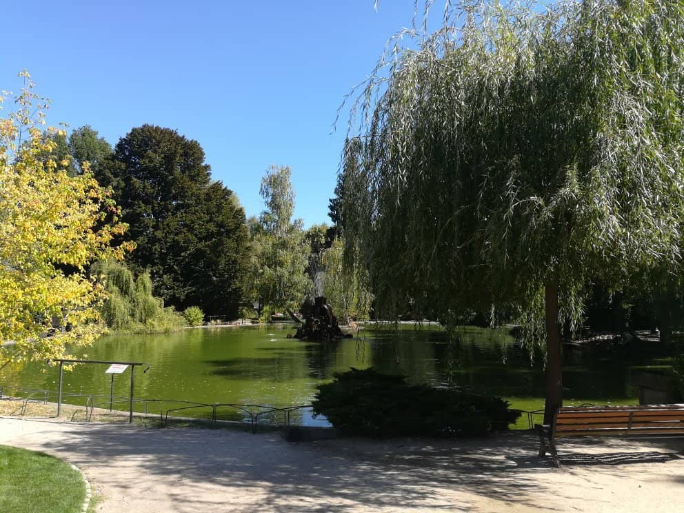 The Museum's Embrace