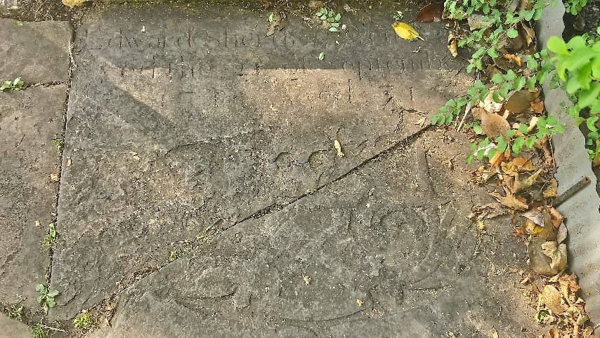 Stowe Pool & Allotments