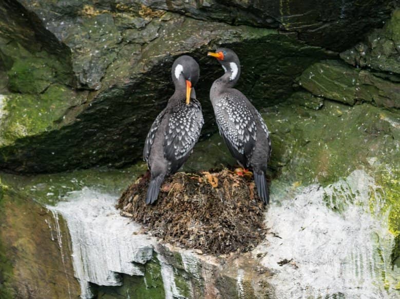 Turquoise Waters & White Sands