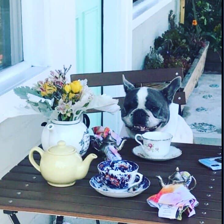 Asilomar State Beach Boardwalk