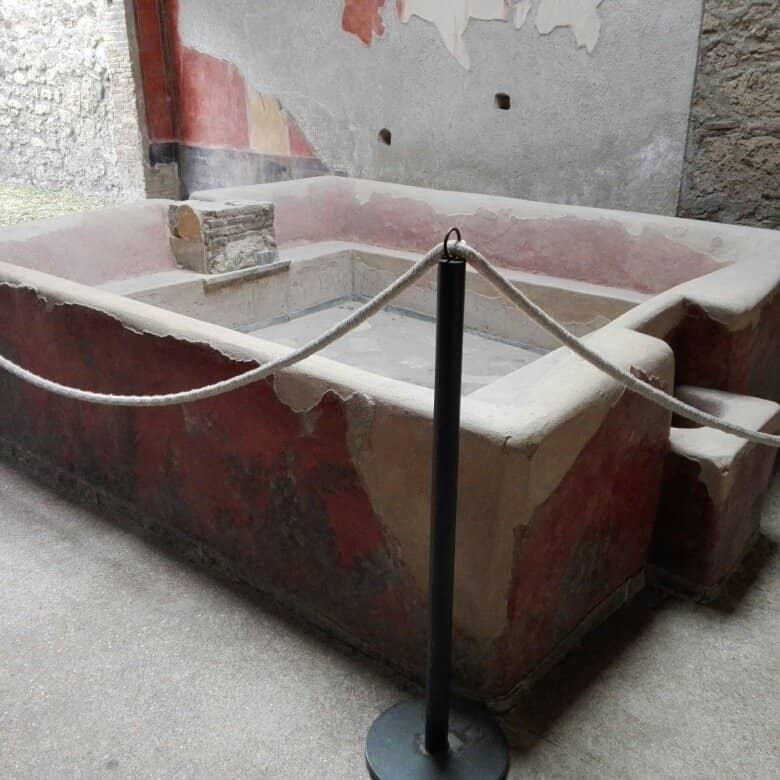 The Skeleton of Stephanus