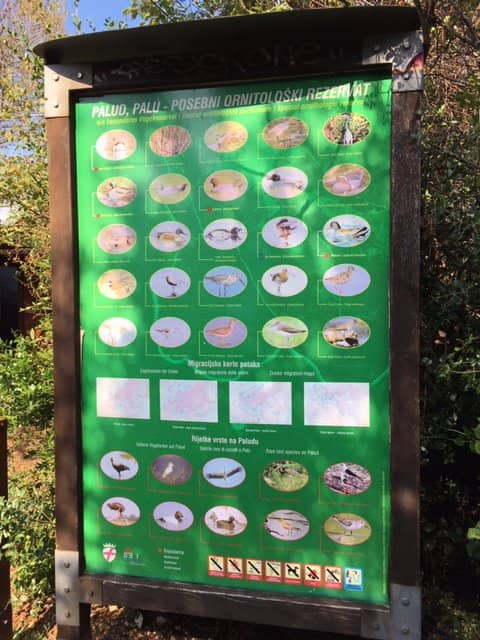 Photographer's Shelters