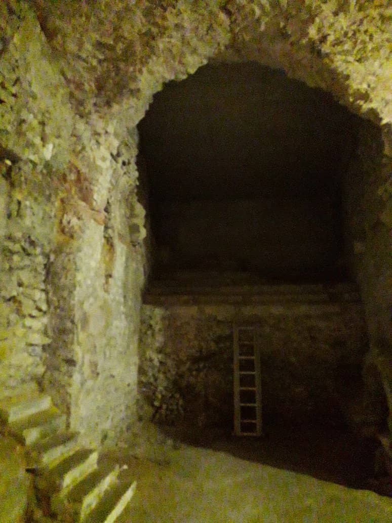 Peaceful Morning Ambiance