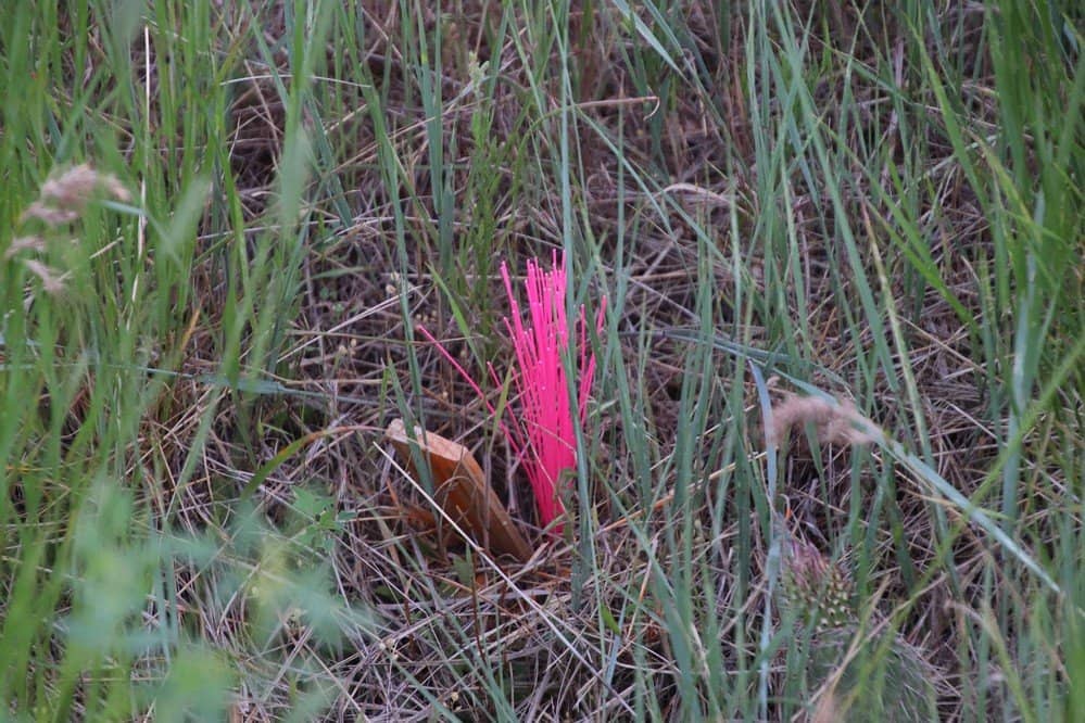 Humorous and Tragic Epitaphs