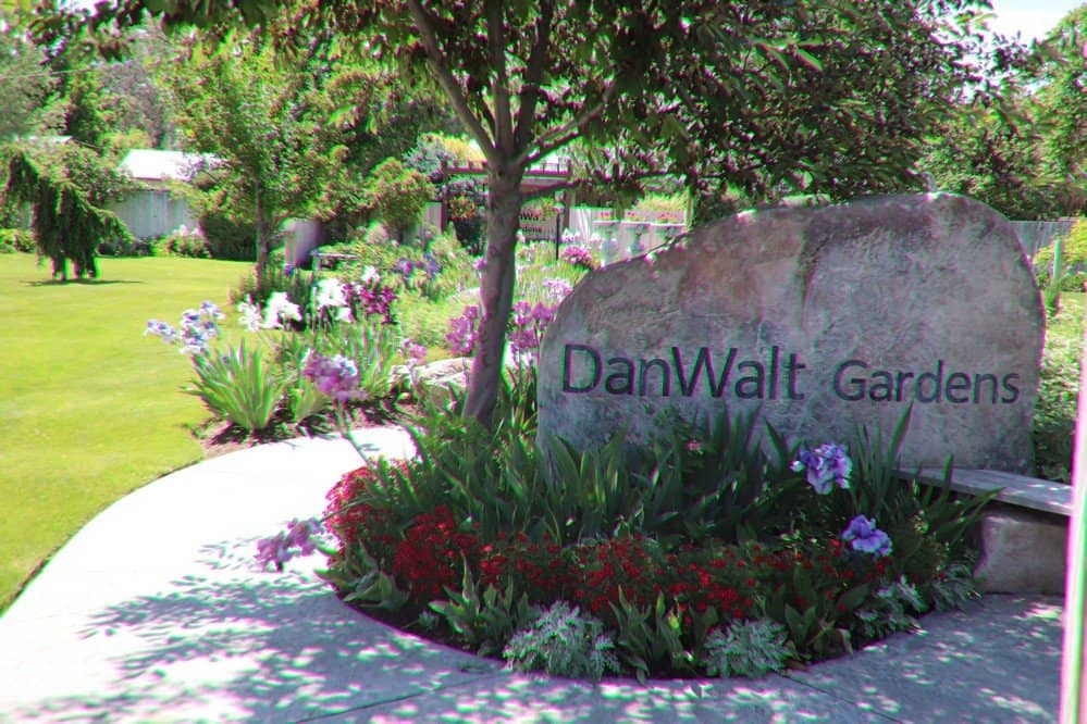 Charming Event Backdrops