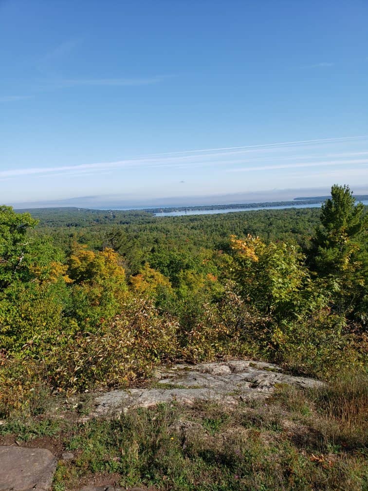 Fall Foliage Spectacle