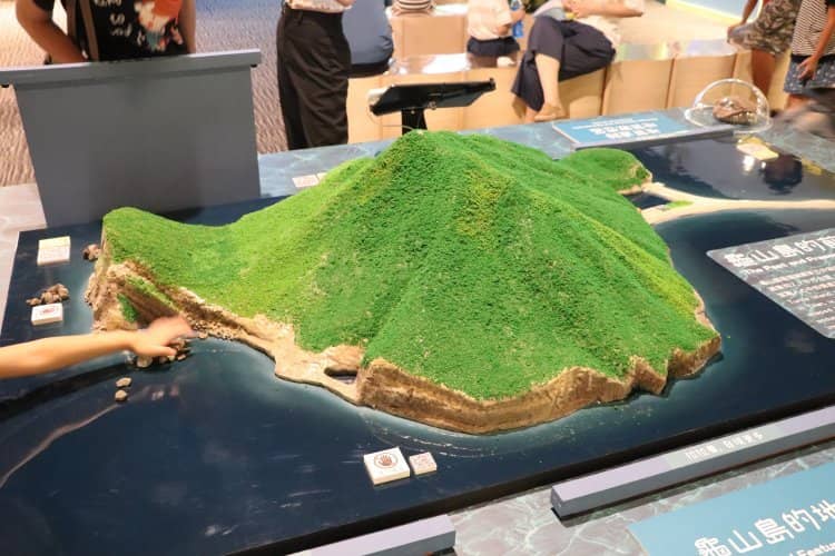 Tranquil Garden Oasis