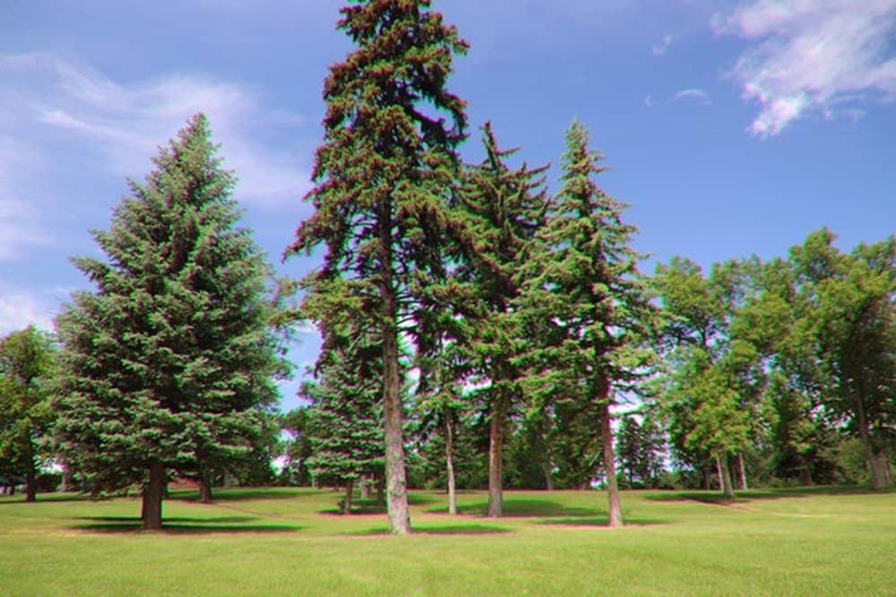 Playgrounds & Creeks