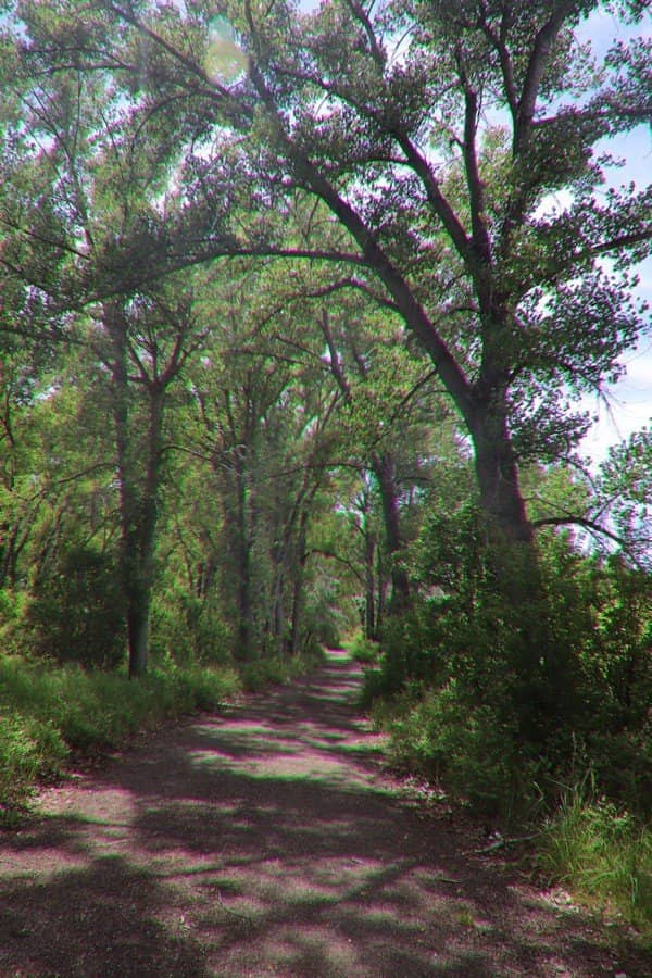 Peaceful Paved Trails