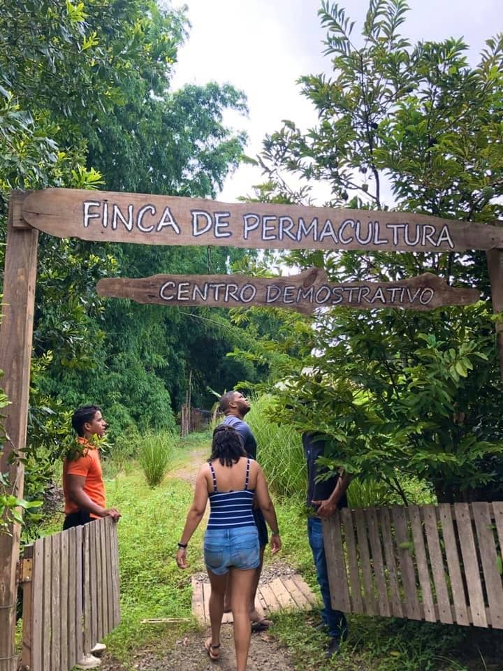 Relaxing Riverside Ambiance