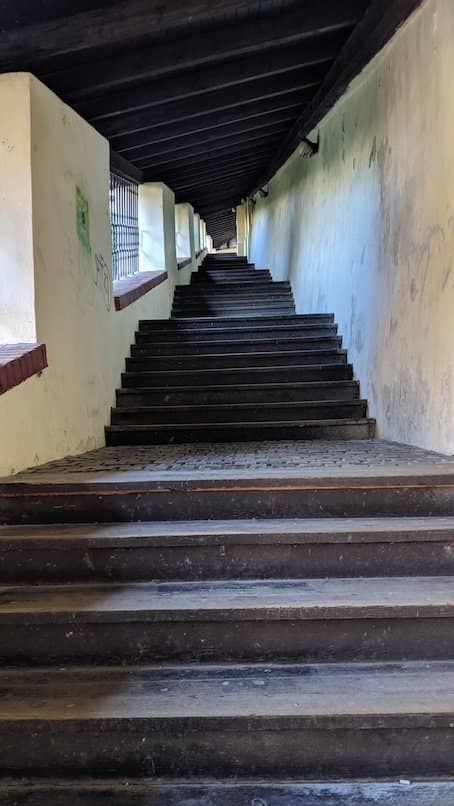 Panoramic City Views