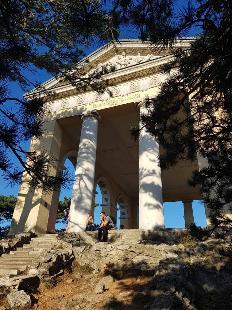 Tranquil Forest Hike