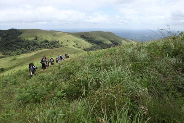 Shola Forests