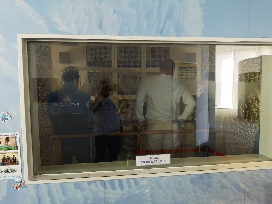 Mount Fuji Views from the Roof