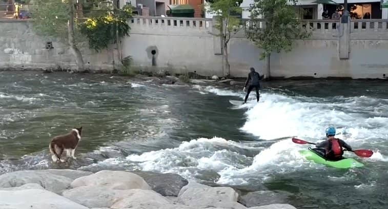 Kayaking & Paddleboarding