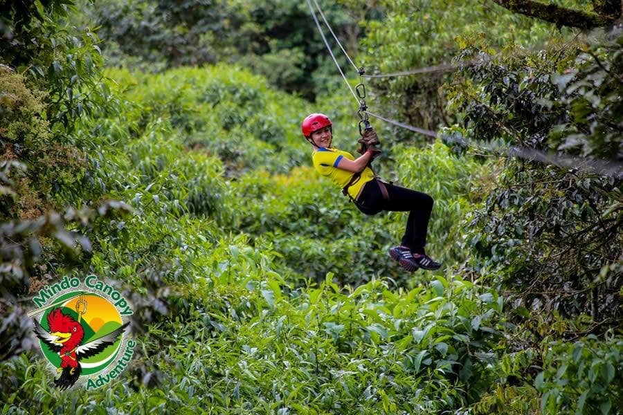 Canopy Ziplining