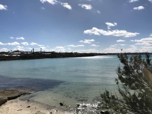 Kid-Friendly Playground