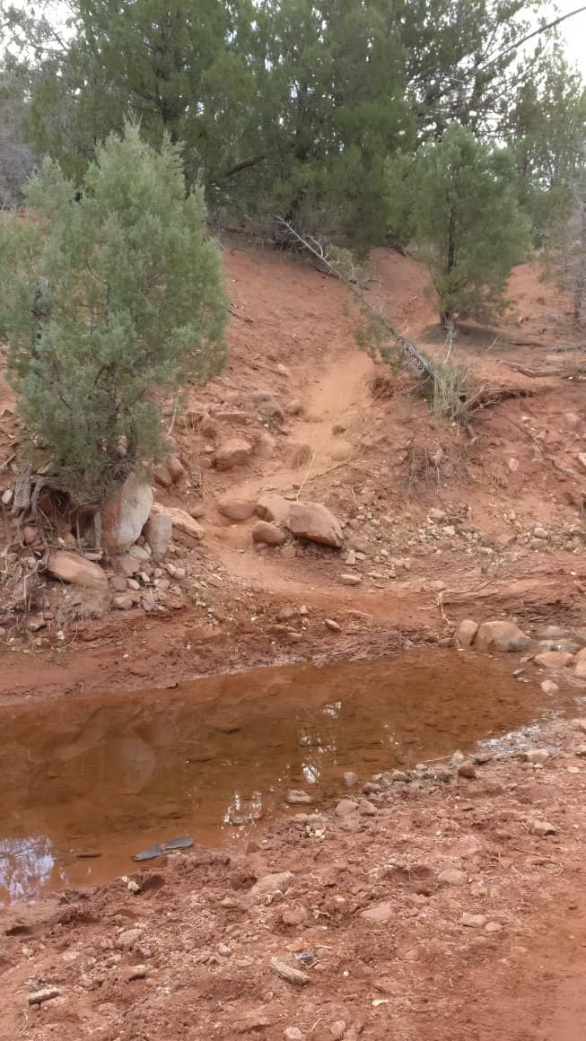 La Verkin Creek Trail
