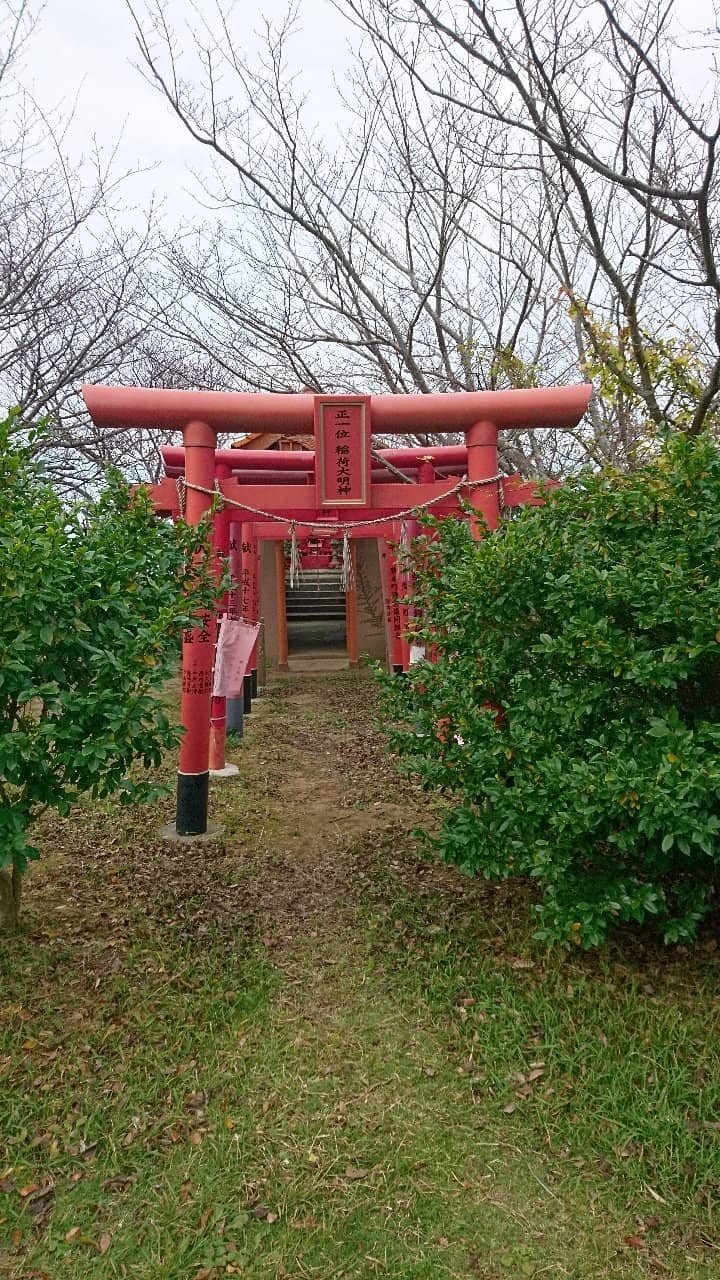 Panoramic Observation Deck