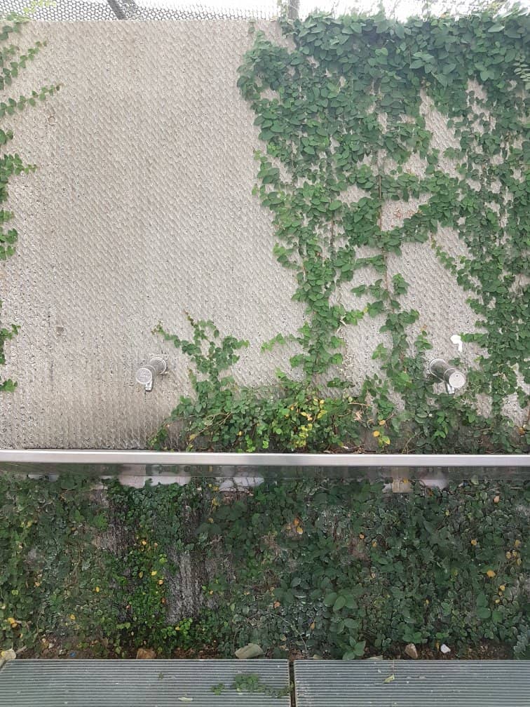 Treetops Adventure Park