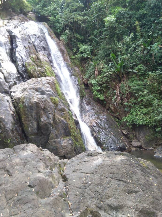 Jungle-Framed Cliff Face