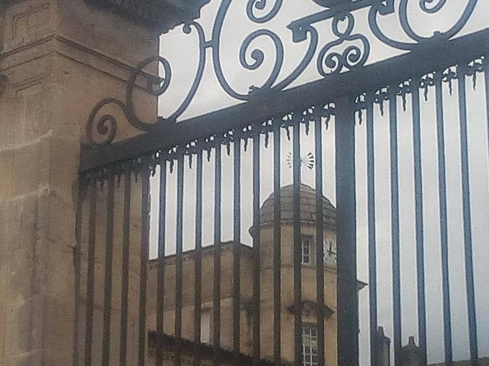 Winemaking Process Insight