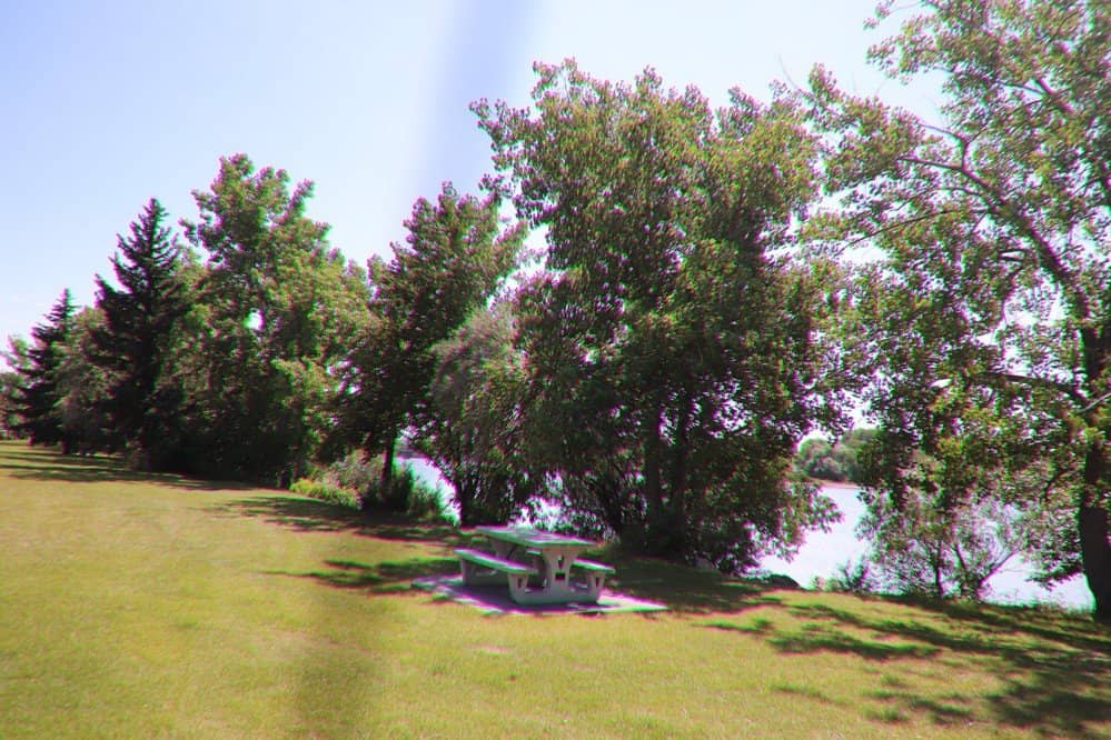 Wildlife Haven