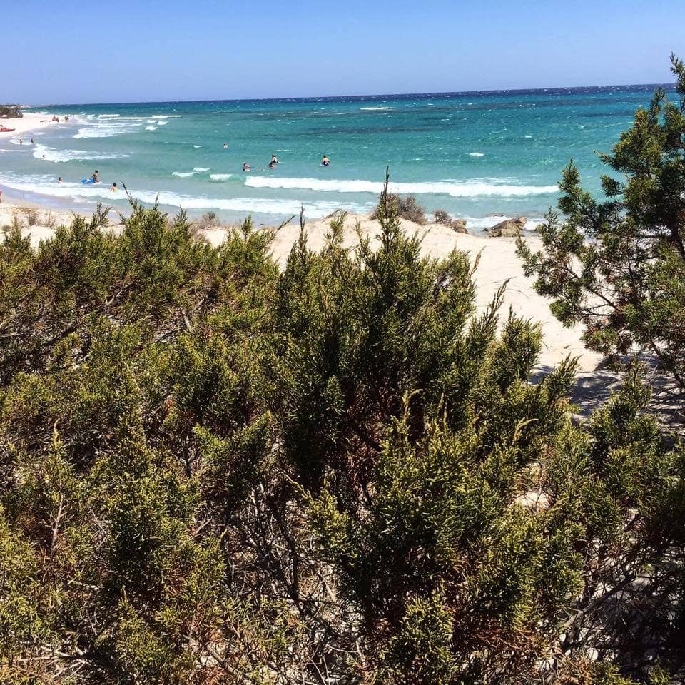 Turquoise Crystal Waters