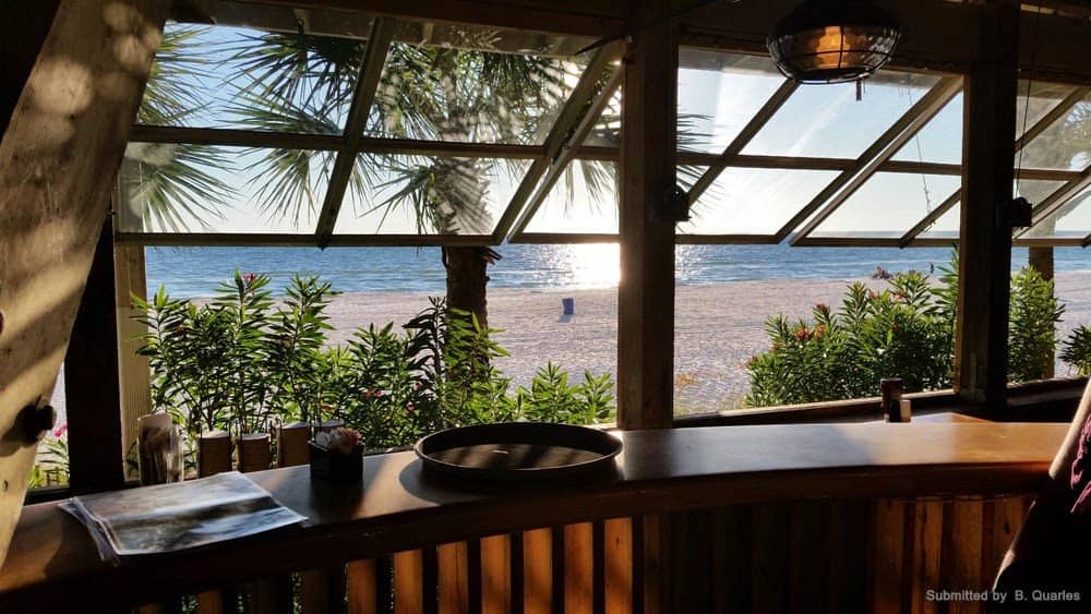 Fresh Seafood Delights