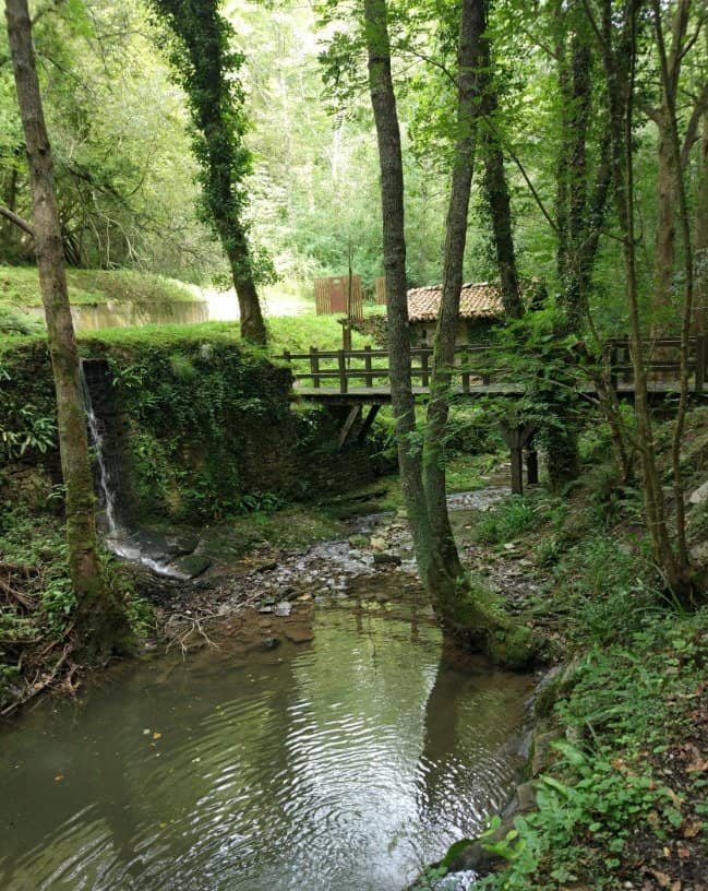 Water-Powered Mechanism