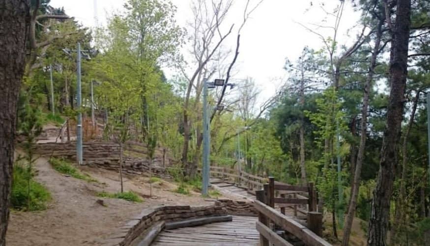 Water and Fire Shows