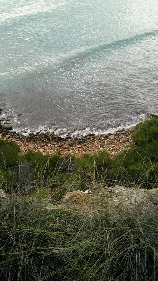 Boat & Jet Ski Rentals