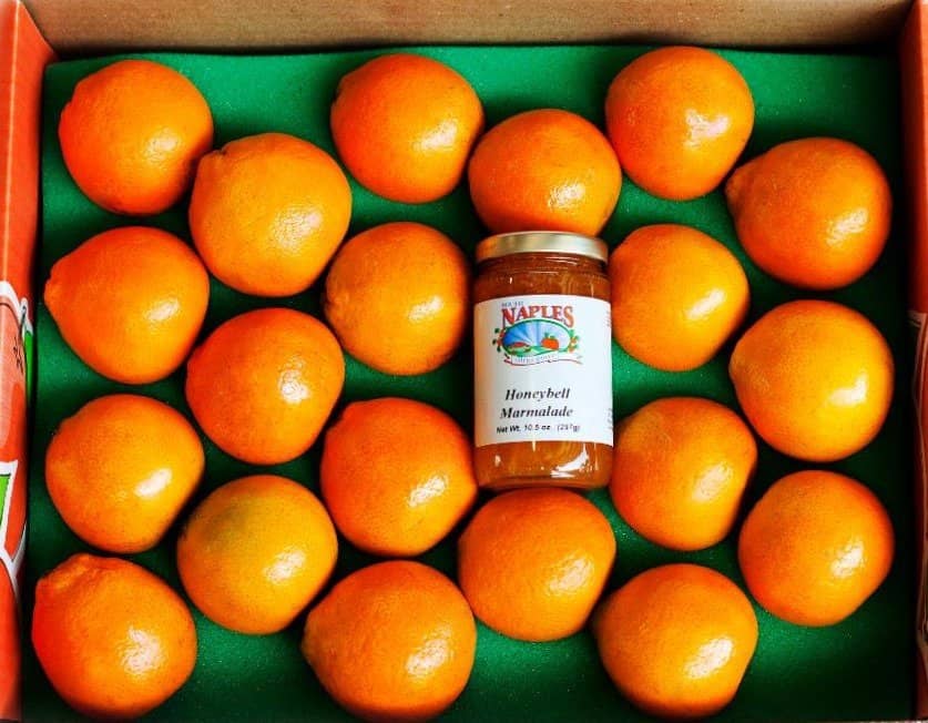 On-Site Citrus Grove Views